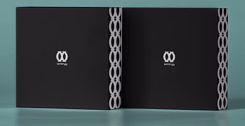 Cover image for Wintryy | Brand Identity | 2021