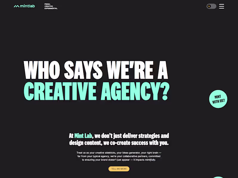 Cover image for Mintlab