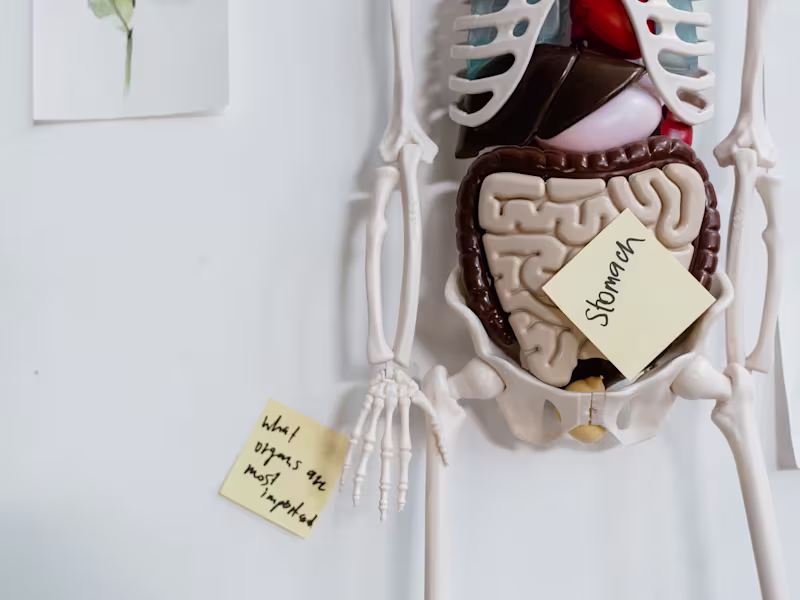 Cover image for Gut Health 101