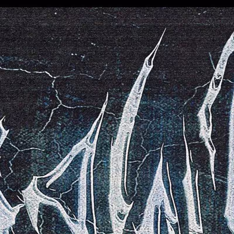 Cover image for Saint Darko®️ on Instagram