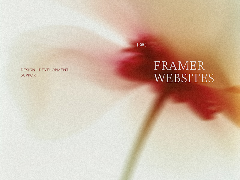 Cover image for Framer Websites