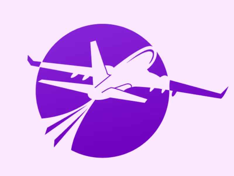 Cover image for Fly and Share