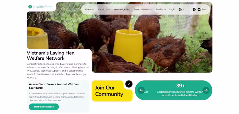 Cover image for Custom Webflow Website Design & Development