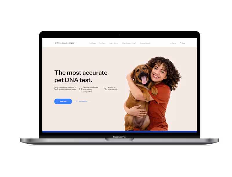 Cover image for Wisdom Panel Web Design