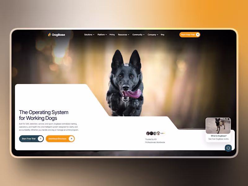 Cover image for Dogbase - SaaS Company -