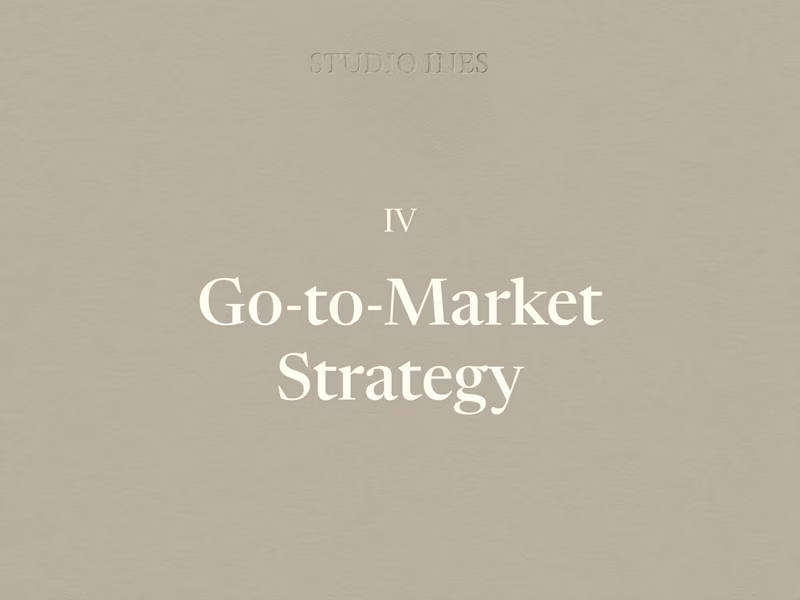 Cover image for Go-to-Marketing Strategy