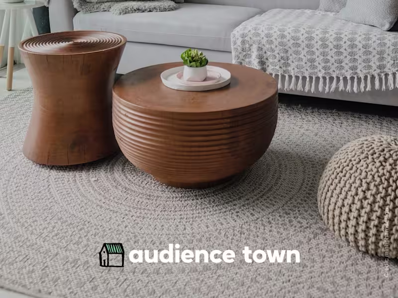Cover image for Audience Town