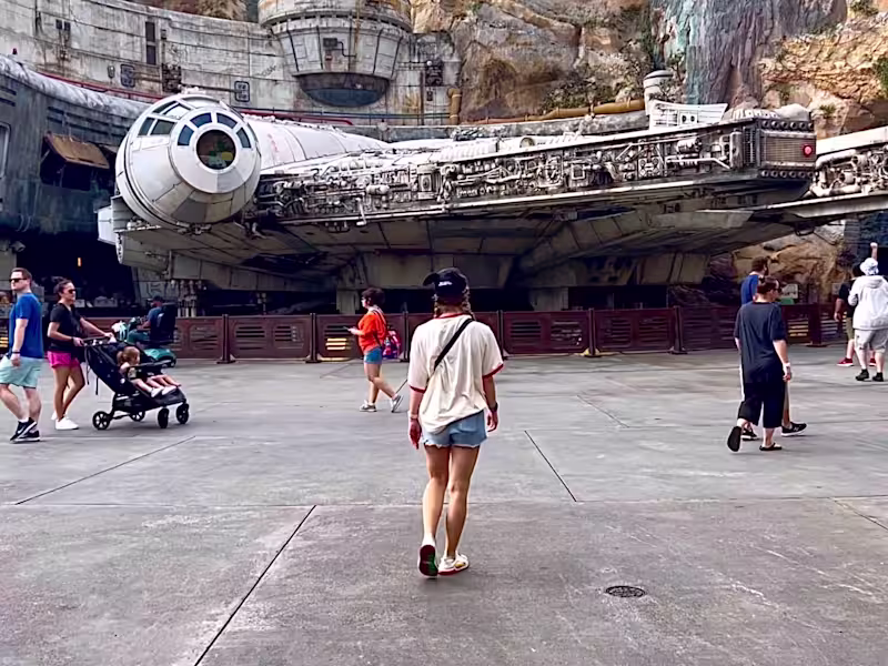 Cover image for Disney Vlogs