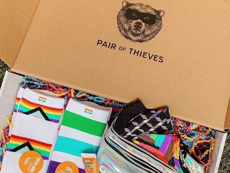 Cover image for Pair of Thieves