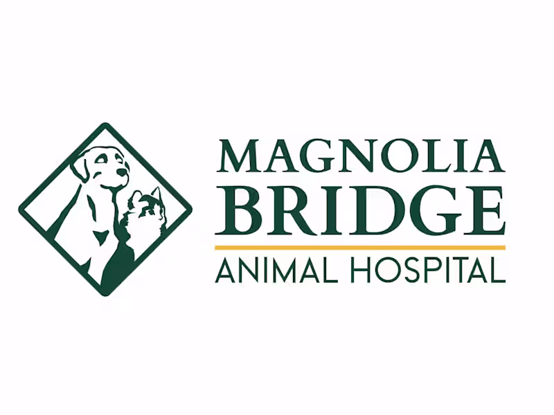 Cover image for Magnolia Bridge Animal Hospital Rebranding