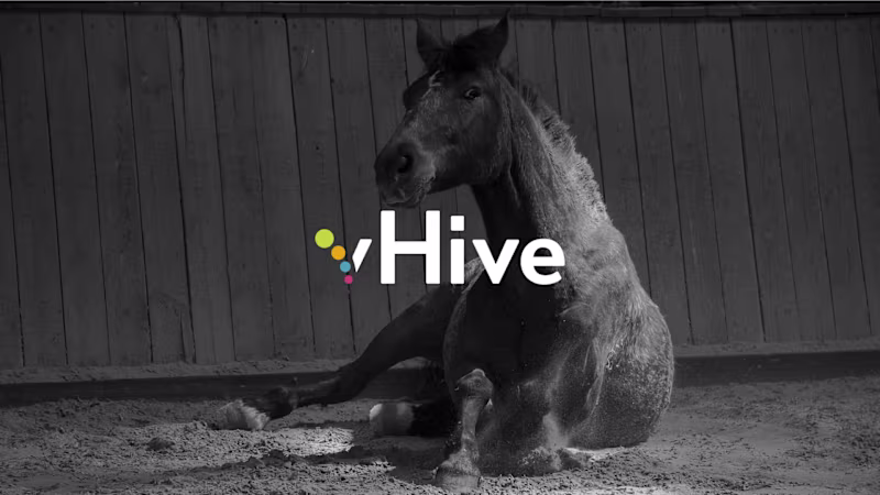 Cover image for vHive Brand Identity Design