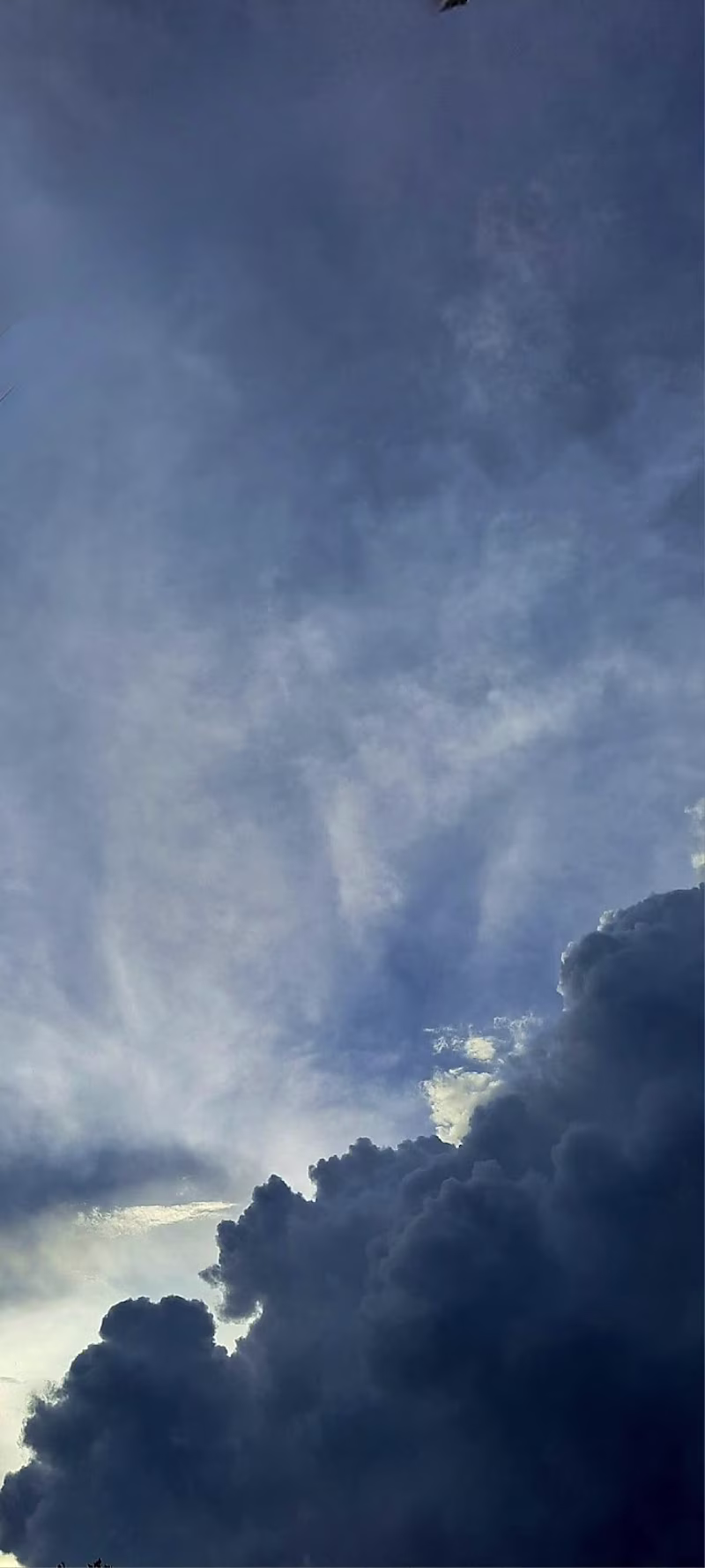 Cover image for Web developing