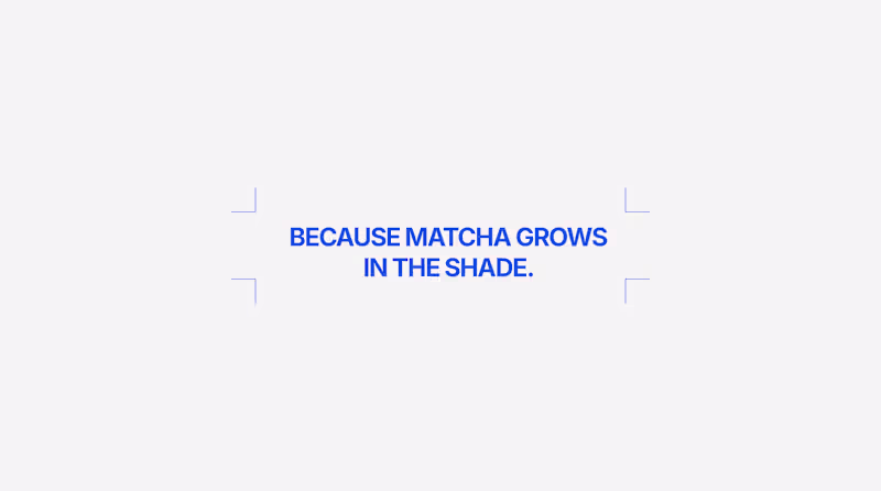 Cover image for Shēdo Matcha Brand Identity Development