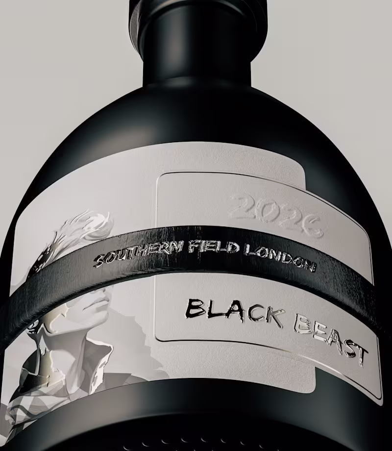 Cover image for Black Beast is a conceptual