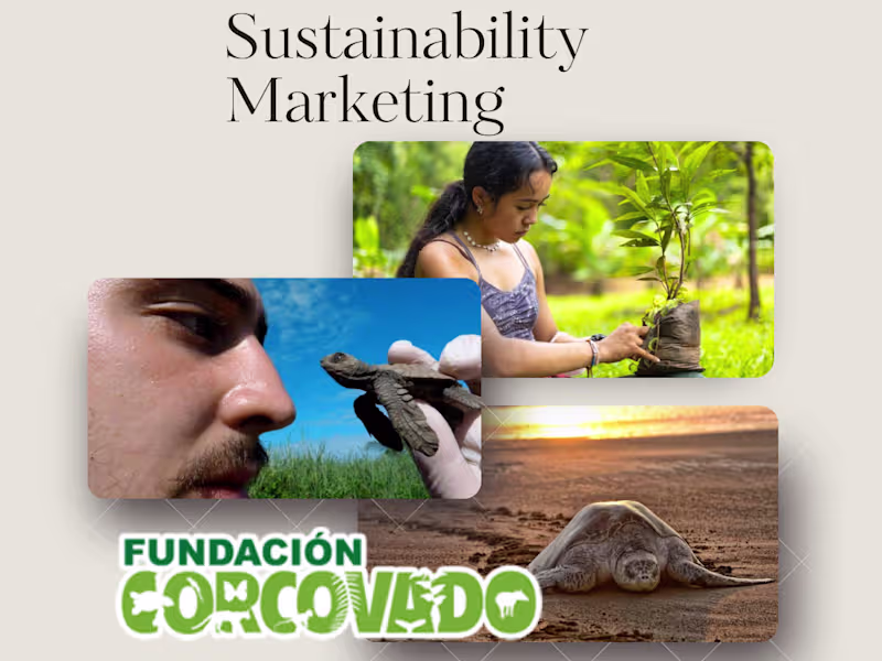 Cover image for Sustainability & Conservation Communications Strategy