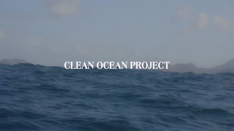 Cover image for 20 years of Clean Ocean Project