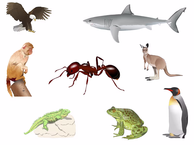 Cover image for Vector Illustration. College Biology Courses.