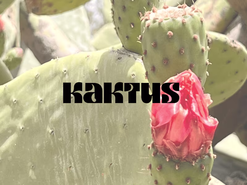 Cover image for Kaktus, A Cactus Soda