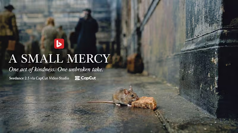 Cover image for A SMALL MERCY
30 seconds. One