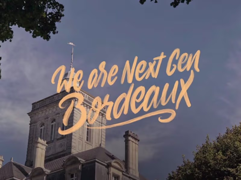 Cover image for Bordeaux wines - Old wines, new minds