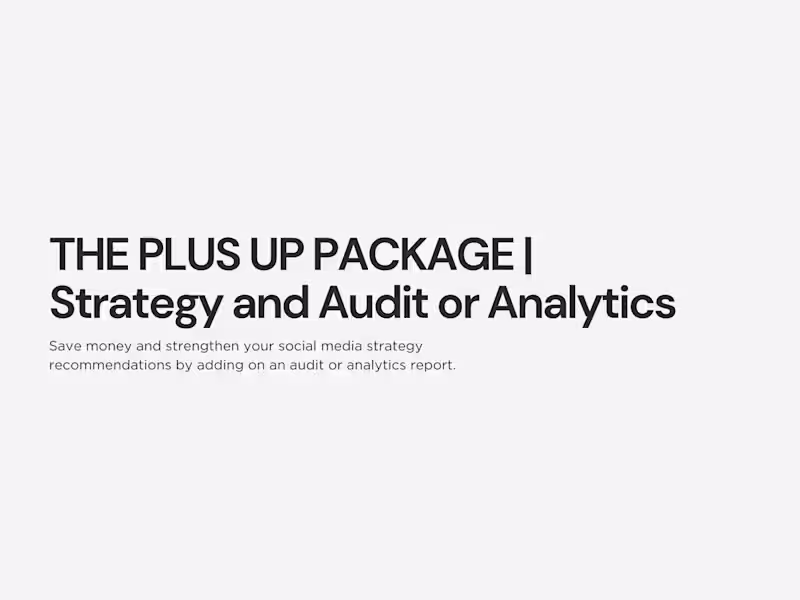 Cover image for The Plus Up Package | Strategy And Audit OR Analytics