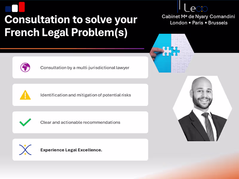 Cover image for Consultation with a French Lawyer