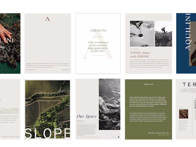 Cover image for Brand Strategy/Identity Kit : Naming, Positioning, Visual Design