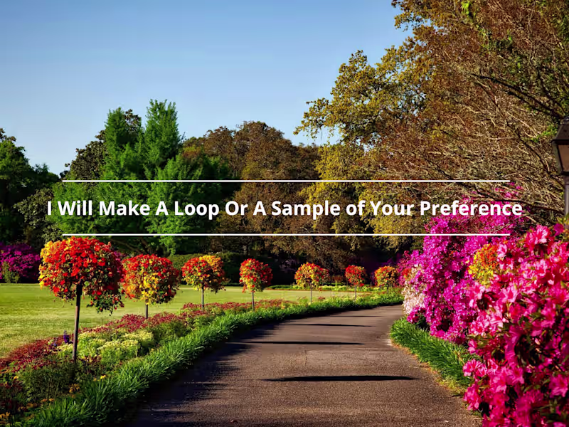 Cover image for I Will Make A Loop Or A Sample of Your Preference