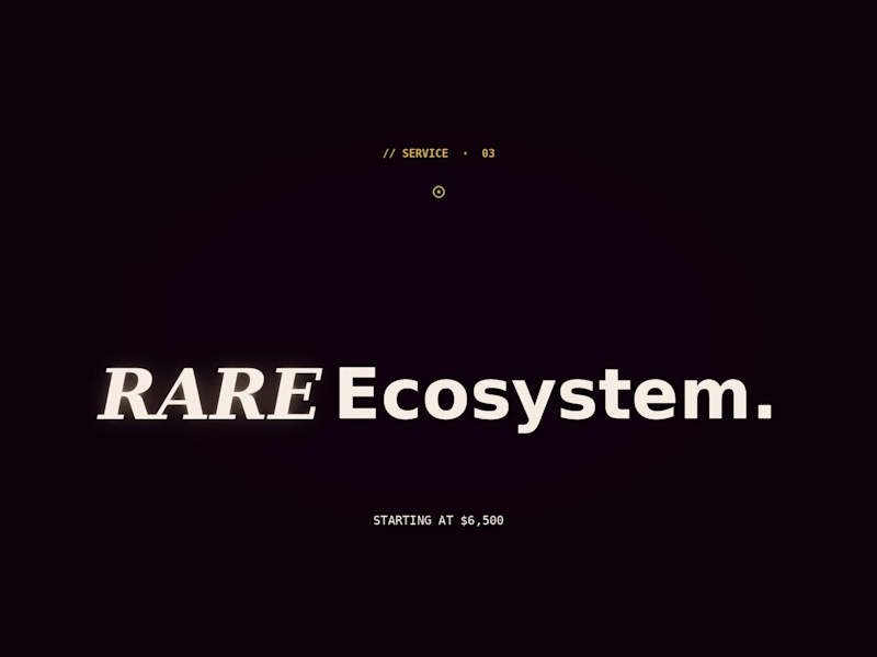 Cover image for Rare Ecosystem — The Full Studio Build