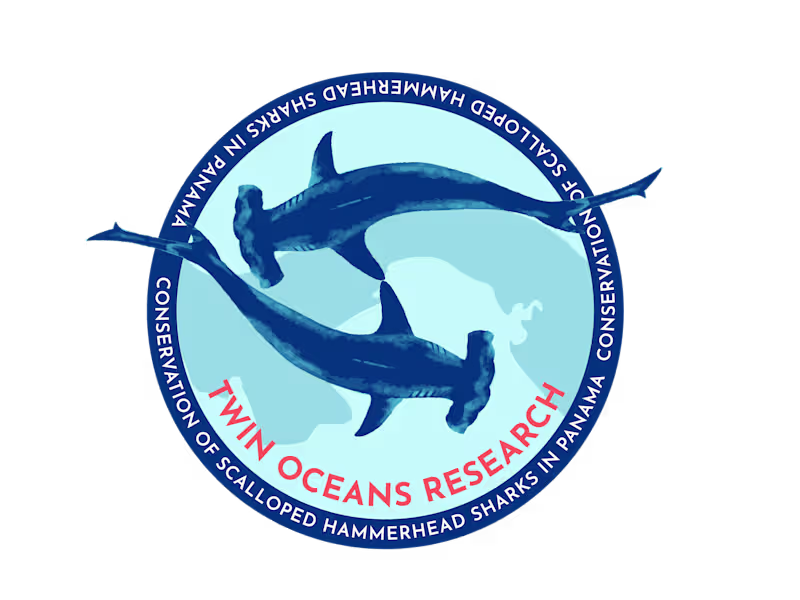 Cover image for Twin Oceans Research Foundation Website Development
