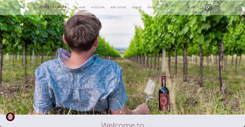 Cover image for Custom Elementor WordPress Website