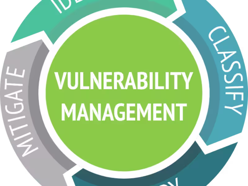 Cover image for Vulnerability Assessment