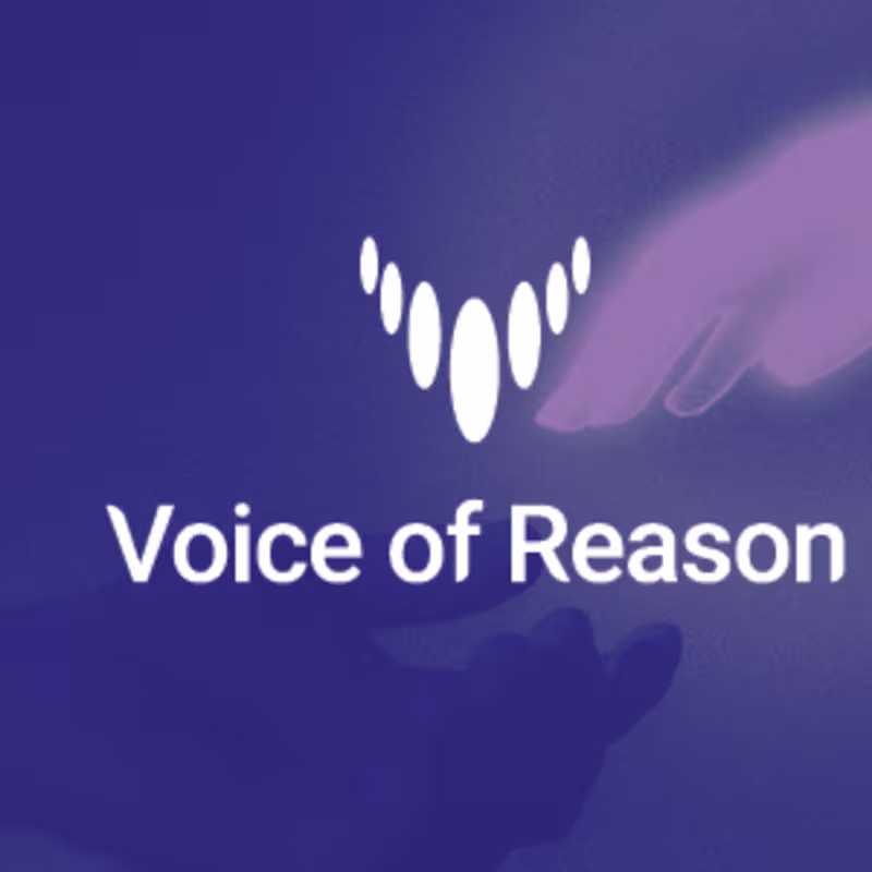 Cover image for Voice of Reason Brand Identity