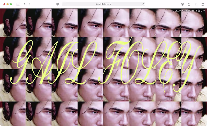 Cover image for ARCHIVED WORK DUMP