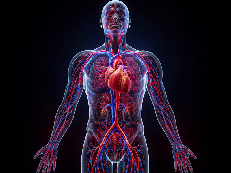 Cover image for 3D Medical & Healthcare Animation Videos