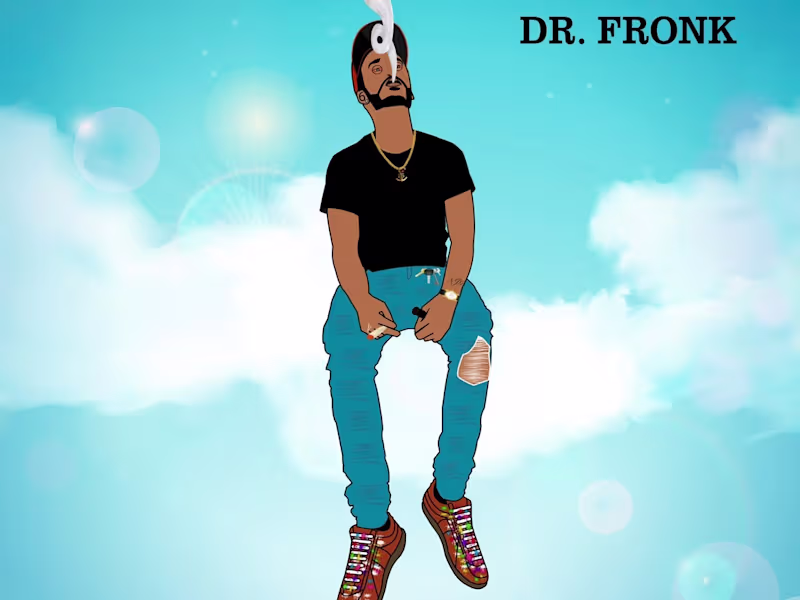 Cover image for Dr Fronk