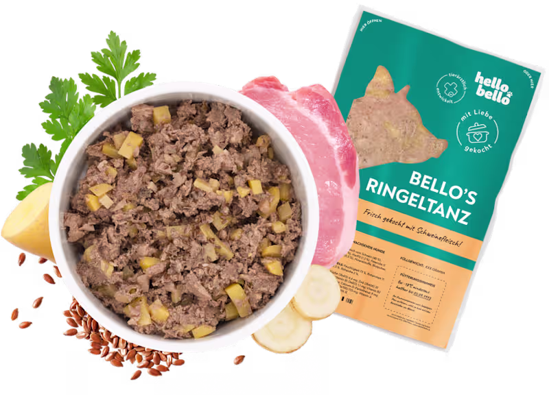 Cover image for Custom Fresh Dog Meal Solutions