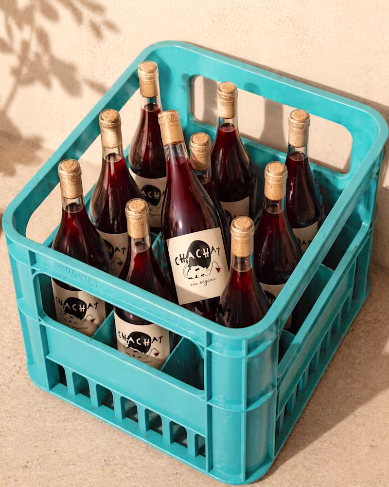 Cover image for Organic Wine Brand Identity Development