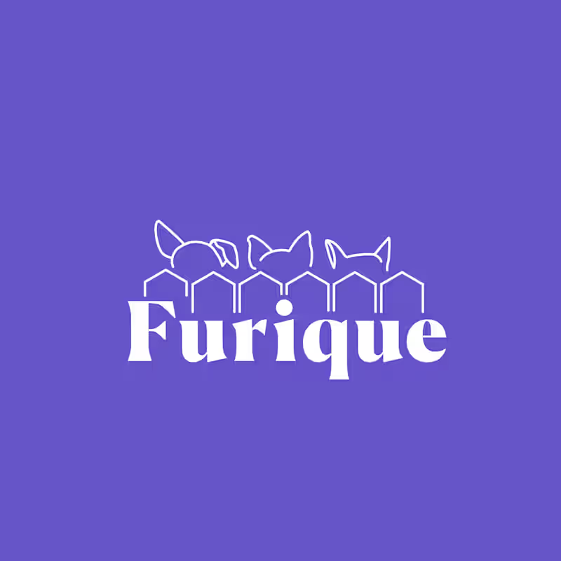 Cover image for Furique — Brand Identity Concept
Furique