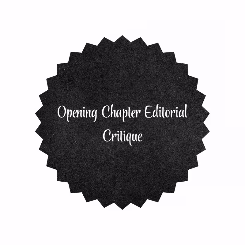 Cover image for Opening Chapter Editorial Critique