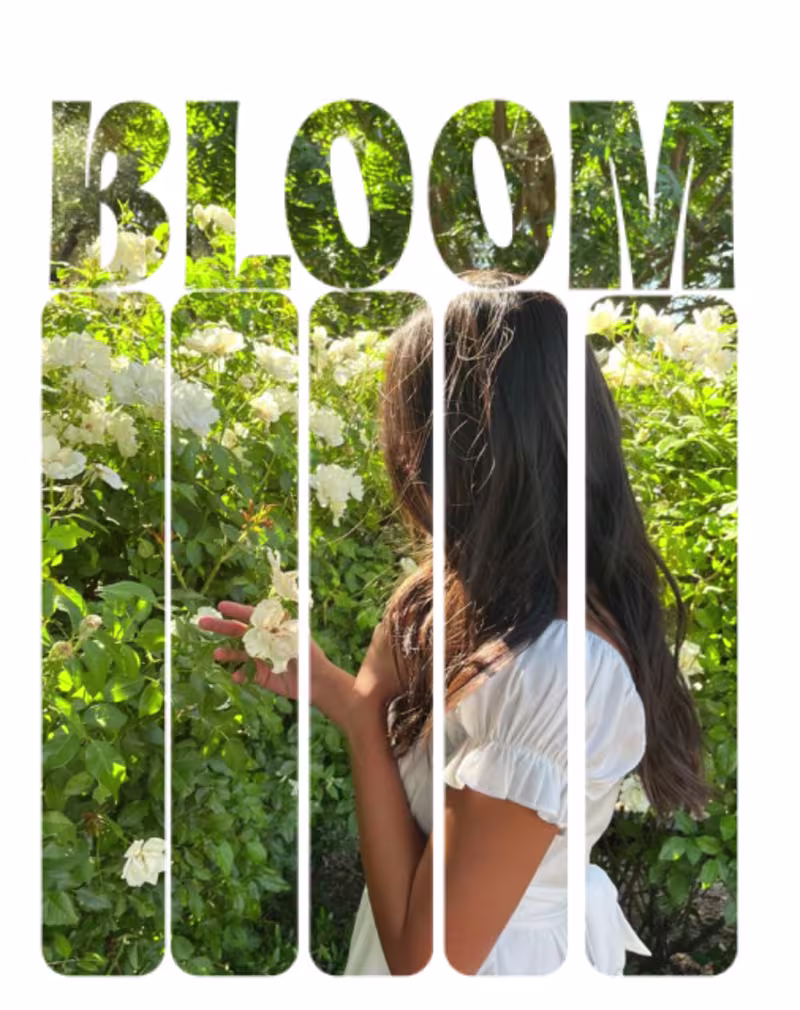 Cover image for Creative photo manipulation and layout