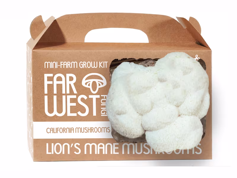 Cover image for Package and Label Design