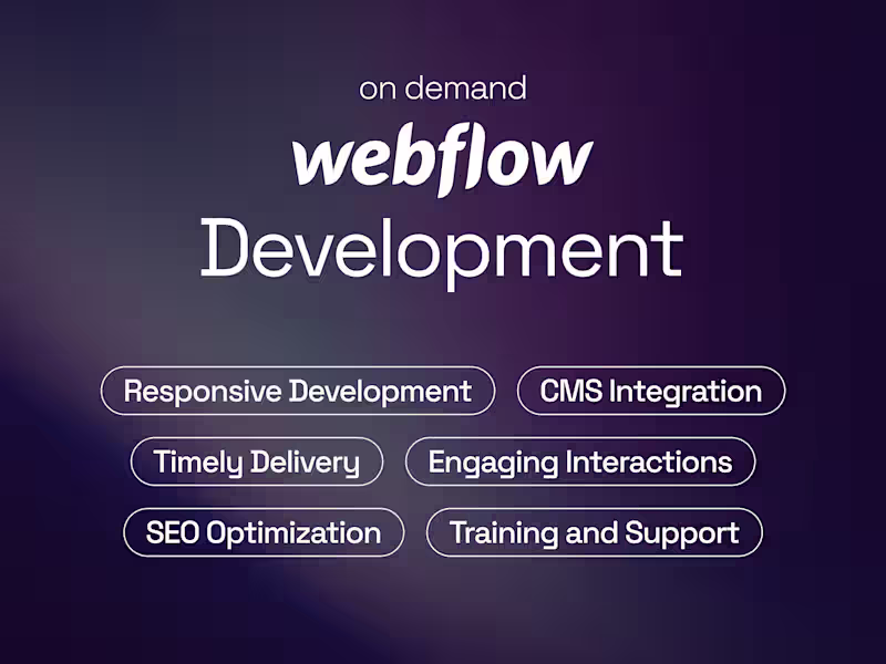 Cover image for Ongoing Webflow Services