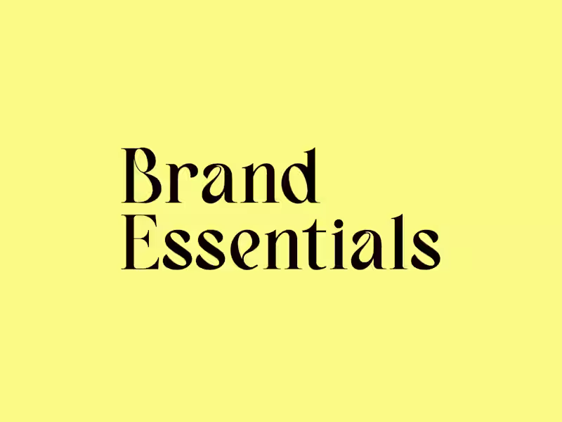 Cover image for Launch Ready Brand Kit