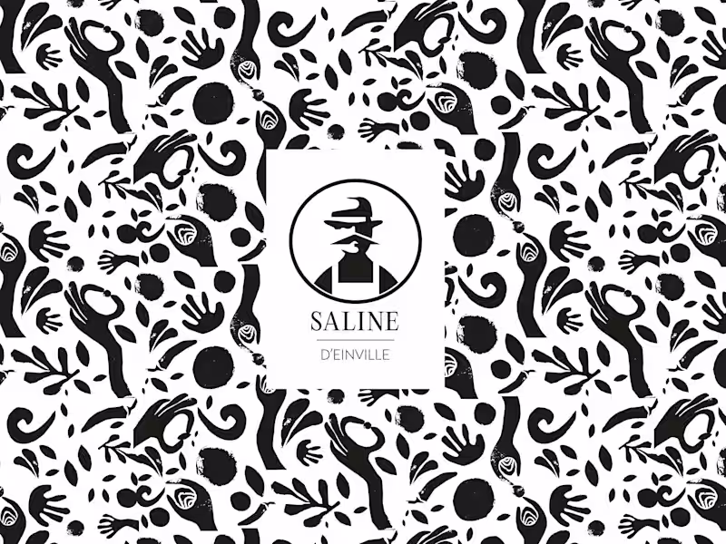 Cover image for Saline