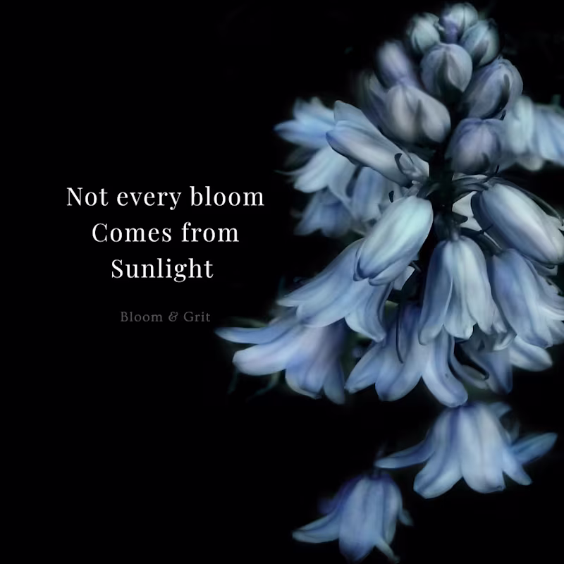 Cover image for Bloom & Grit — Social Media Content Pack A poetic content se...