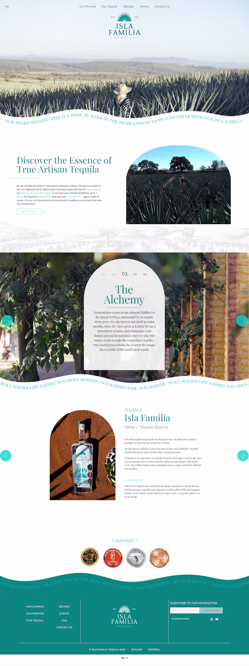 Cover image for Developed a modern WordPress website