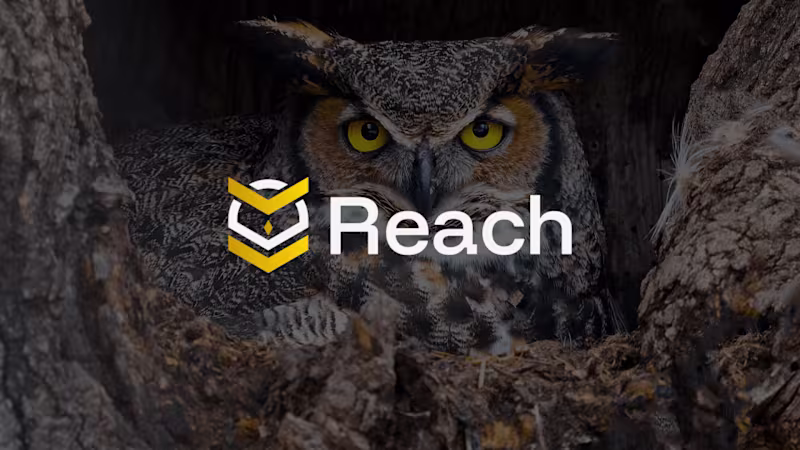 Cover image for Reach