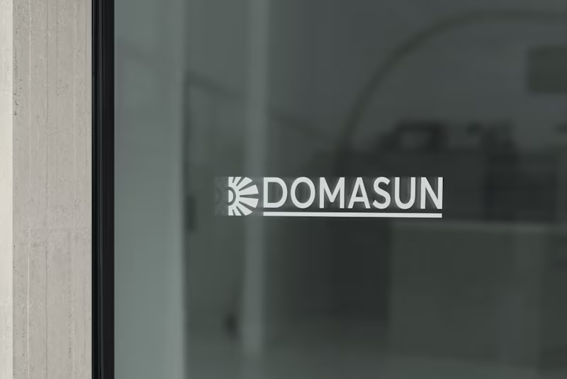 Cover image for Forging the Future: Domasun's Vision for Your Digital Presence