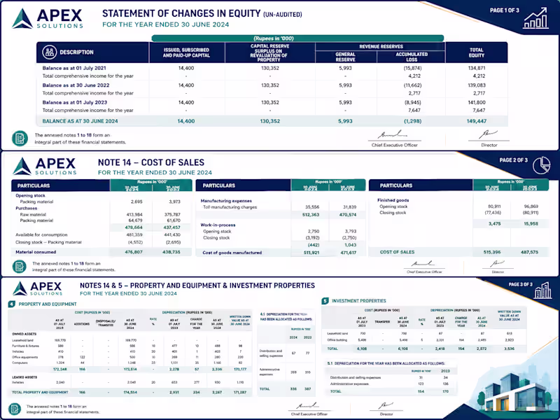 Cover image for Developed comprehensive financial statement schedules